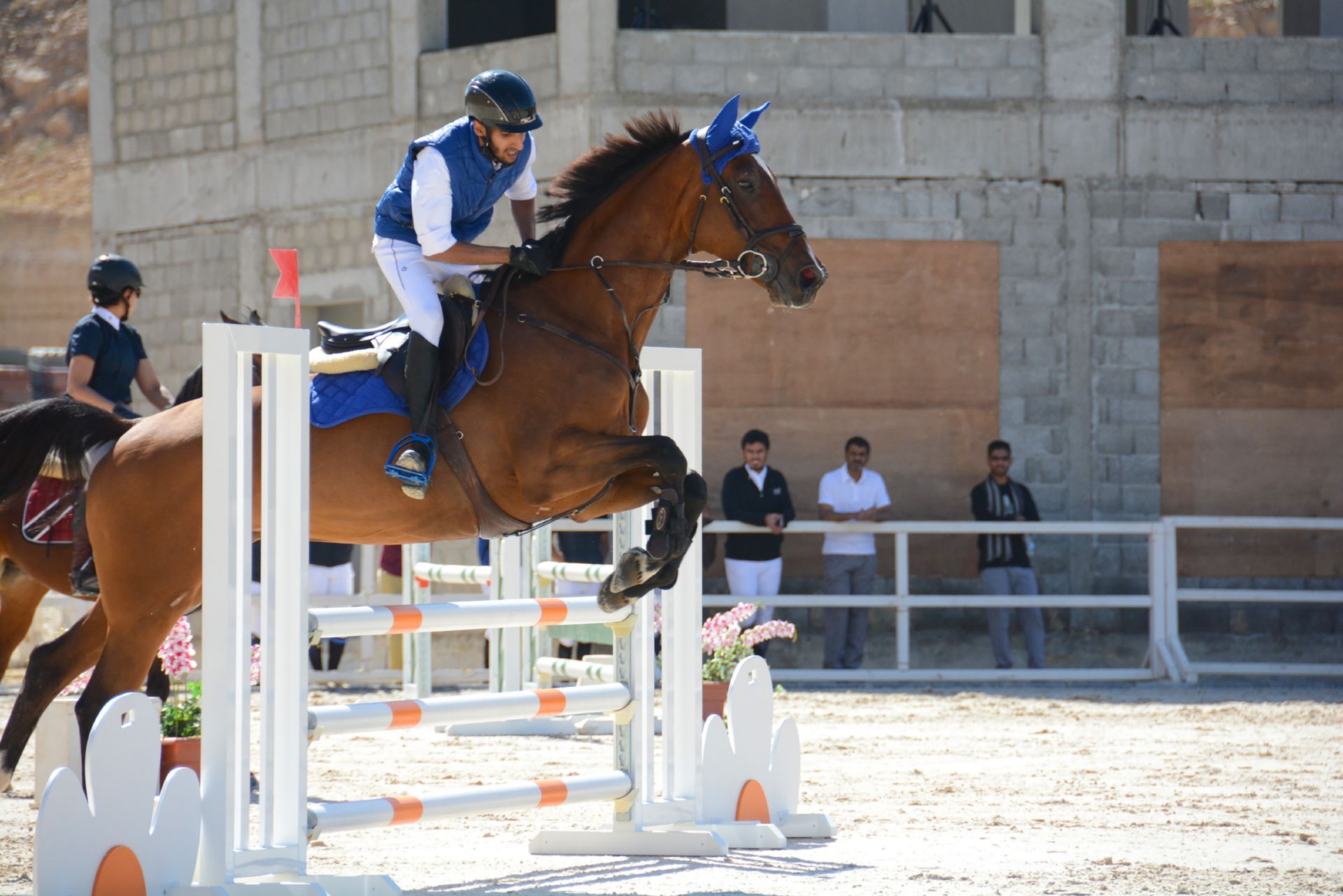 Equestrian Equipment