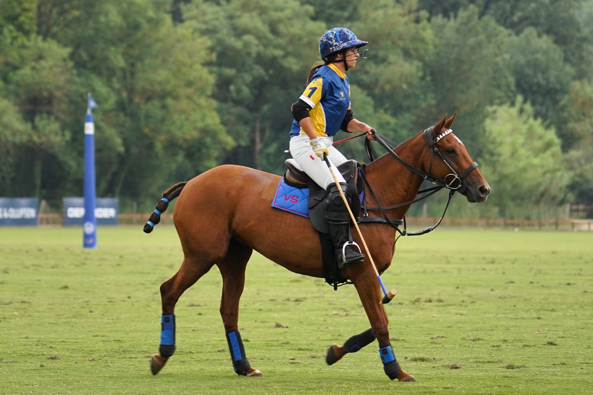 Polo Products