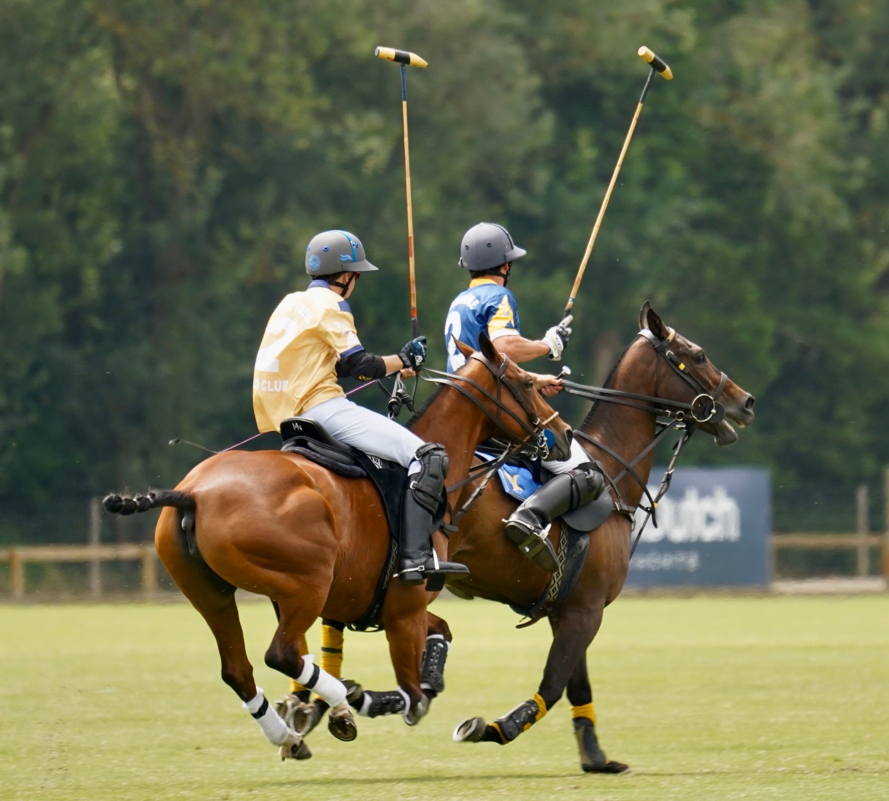 Polo Products